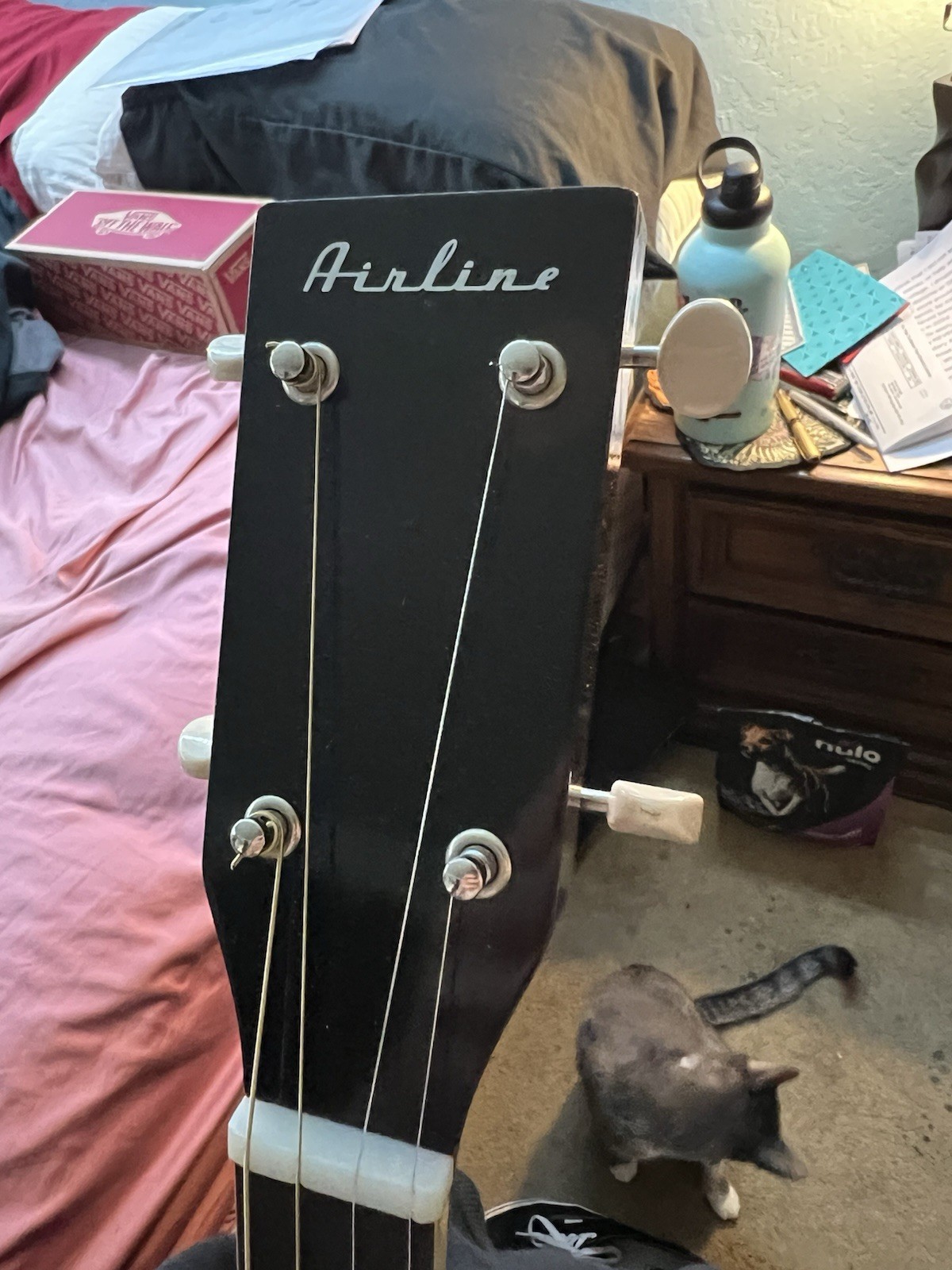 Picture 4 of 12