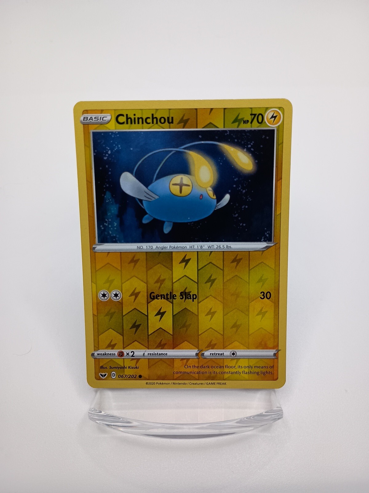 Chinchou 67/202 - Sword & Shield - Reverse Holo - Common - Pokemon Card TCG