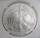 2006-W American Silver Eagle — photo from another recent sale
