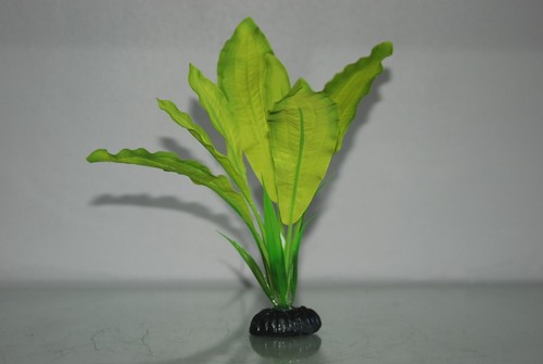 Aquarium Silk Plant Broad Leaf Plant Green 2 Shades Green 20 cms High - Picture 3 of 4