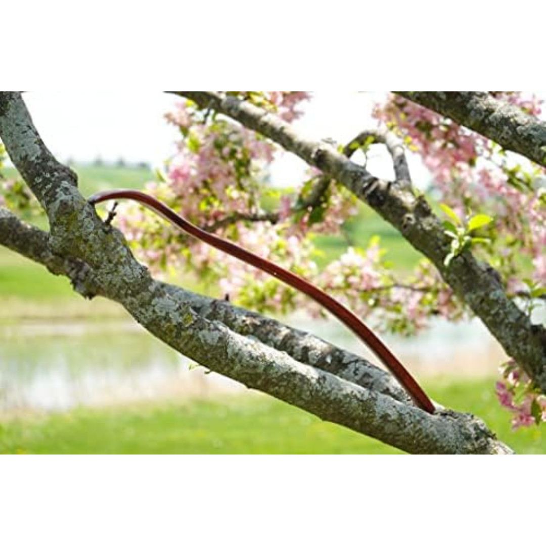 Oversized Wooden Back Scratcher: 18'' Extended Curved Handle for Better Reach,