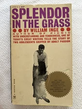 Splendor in the grass,: A screenplay (A Bantam book)