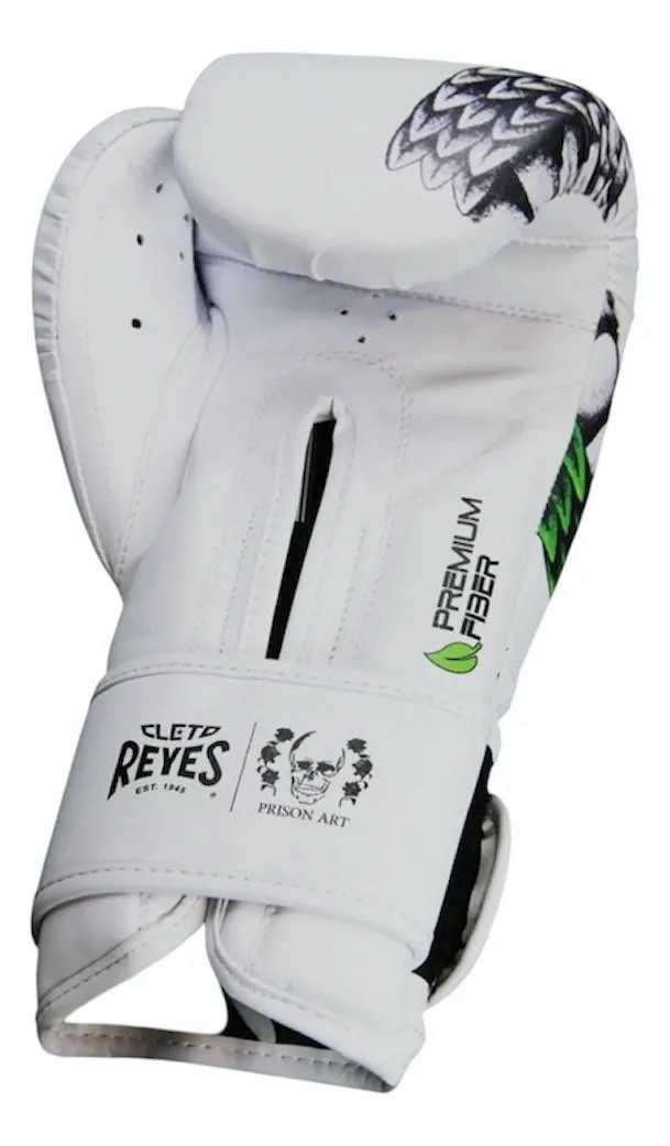 RARE Quetzalcoatl CLETO REYES Boxing Gloves Strap Closure Pro