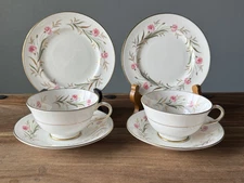 Set 4 Paragon Camelot England 2 Teacup Saucer, 2 Bread Plates ~Carnation Flowers