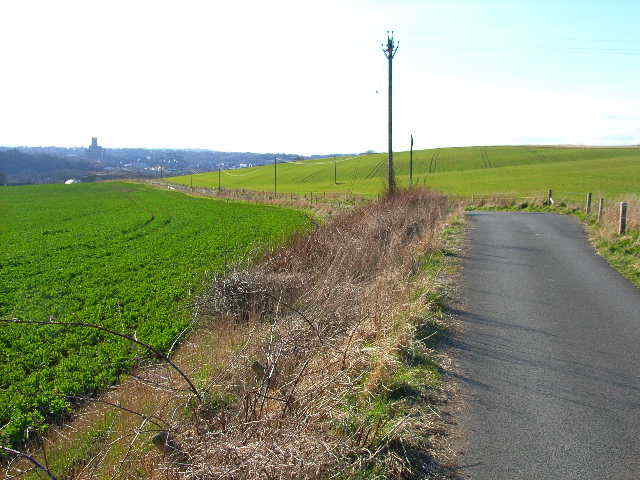 Photo 6x4 The road to Old Durham Part of National Cycle Network