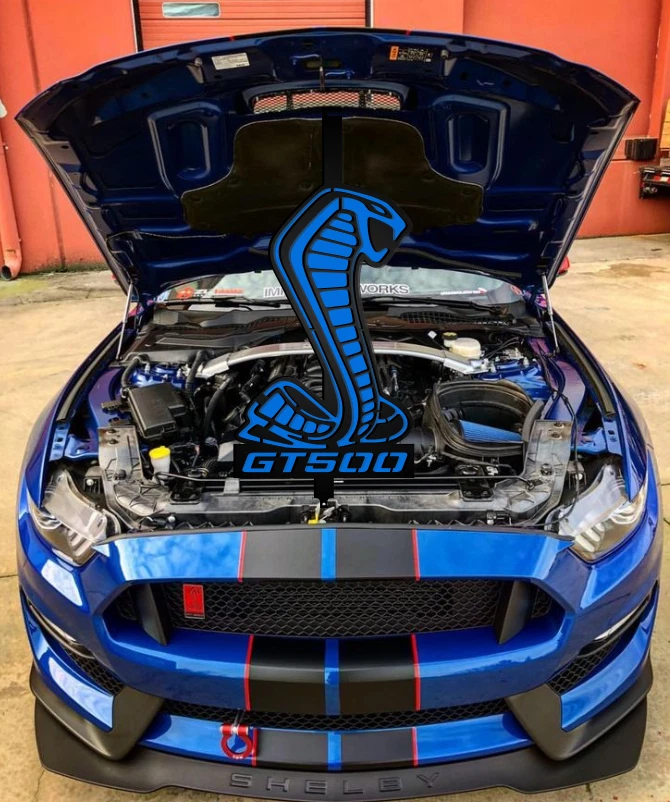 Shelby gt500-gt350 Mustang capó hélice para exposición de autos (personalización disponible) Foto 3 de 4