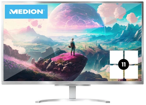 AiO Computer Medion E23401 24" FHD Core i5-8250U 8GB/512GB Win11 (U) (W)