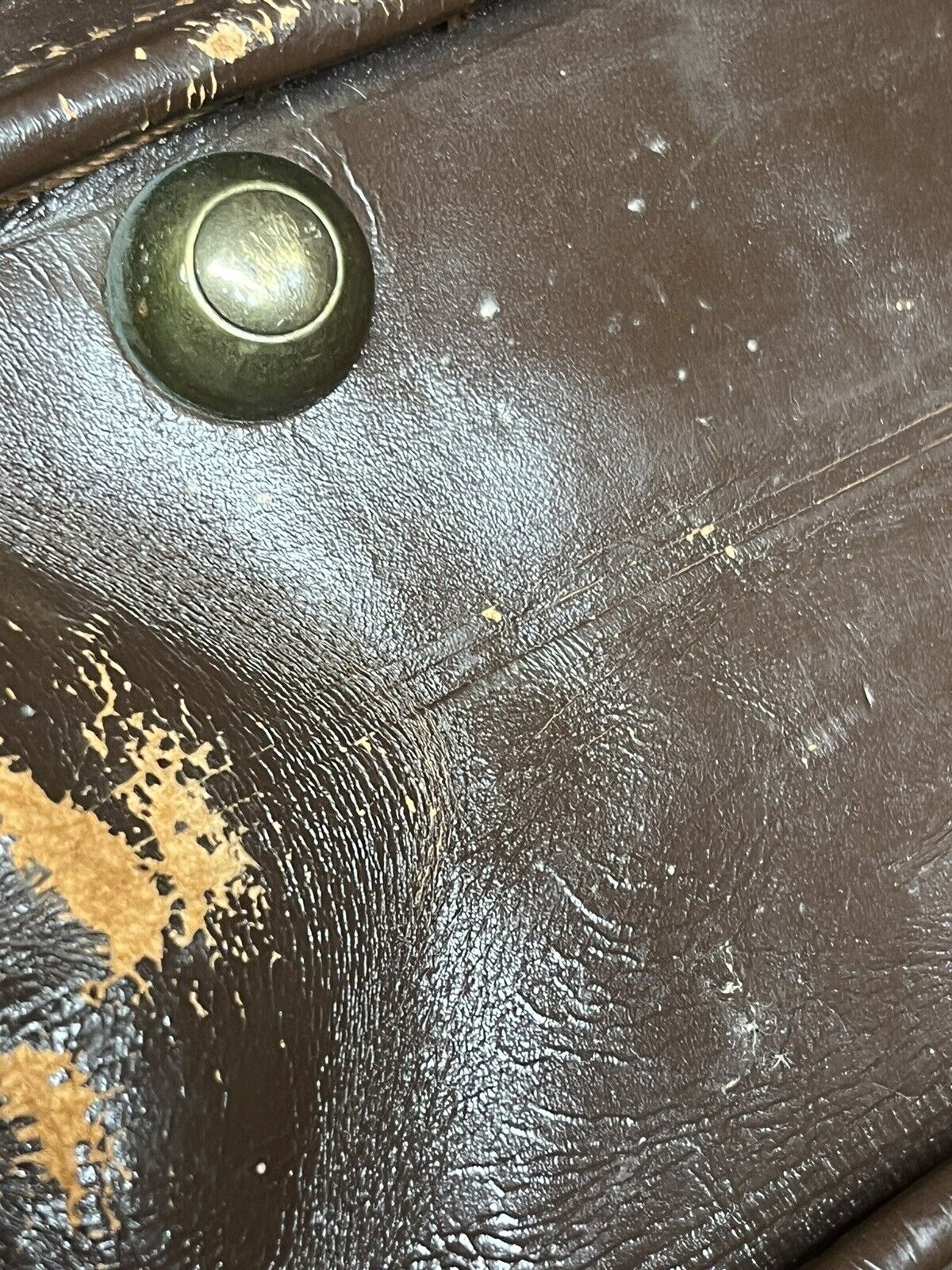 Picture 7 of 19