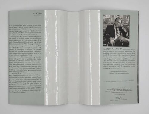 SIGNED Lincoln In The Bardo by George Saunders Book *ISSUES. HC Autograph Novel - Picture 17 of 23
