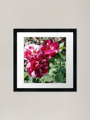 Sometimes out of the darkness comes Framed Wall Art Poster Canvas Print Picture