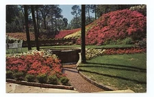 Long Gardens Flowers Tuthill Lane Springhill Mobile Alabama Postcard