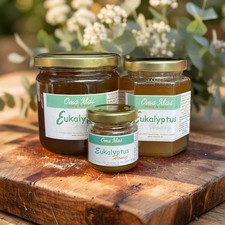 Eukalyptushonig Honig Eukalyptus Bienenhonig Natur aus Spanien