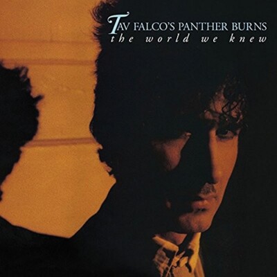 TAV & PANTHER BURNS FALCO-THE WORLD WE KNEW/SHAKE RAG/LIVE IN BORDEAUX 2 CD NEU