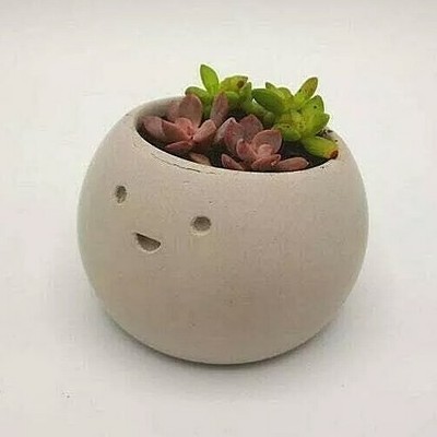 cute pots