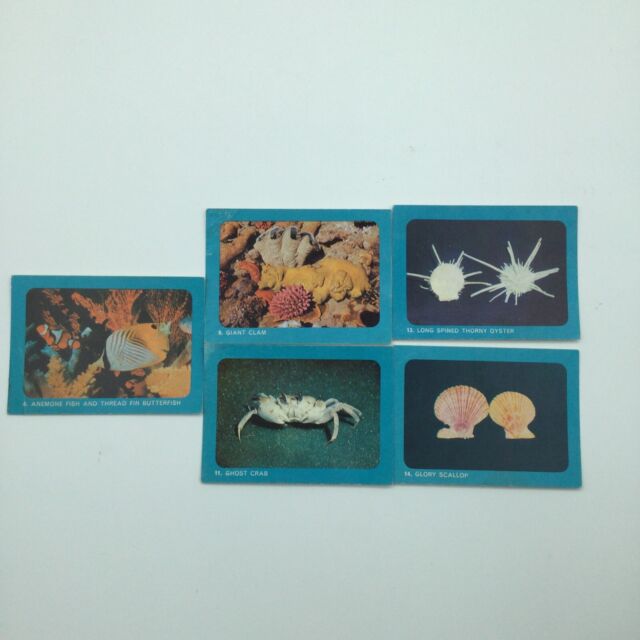 Vintage 1964 Sanitarium Australian Underwater World Swap Cards x 5