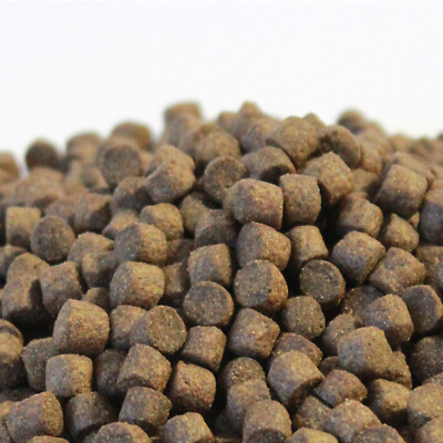 Koifutter Top Energy Jumbo 2,5 - 15 kg 8mm Wachstumsfutter Fischfutter Koi Teich