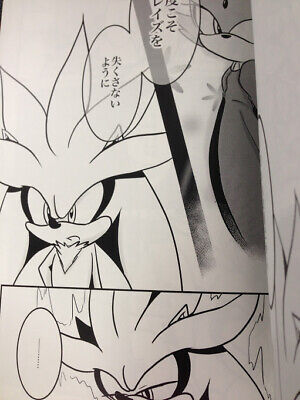 Doujinshi SONIC THE HEDGEHOG Silver main (B5 48pages) World End Runners Sky  High