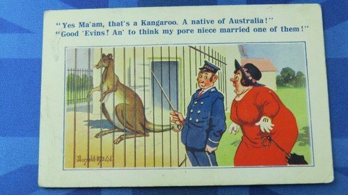 Inter Art Donald McGill Comic Postkarte 1924 Känguru Australien Australian Zoo - Bild 1 von 2