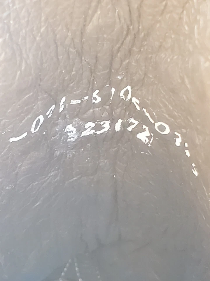 Bota Stetson Thunderbird Águila Tachonada 6.5B Cuero Turquesa Marrón Occidental Foto 4 de 4