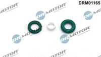 Dr.Motor Automotive DRM01165 Seal Kit, Injector Nozzle For Audi Porsche VW