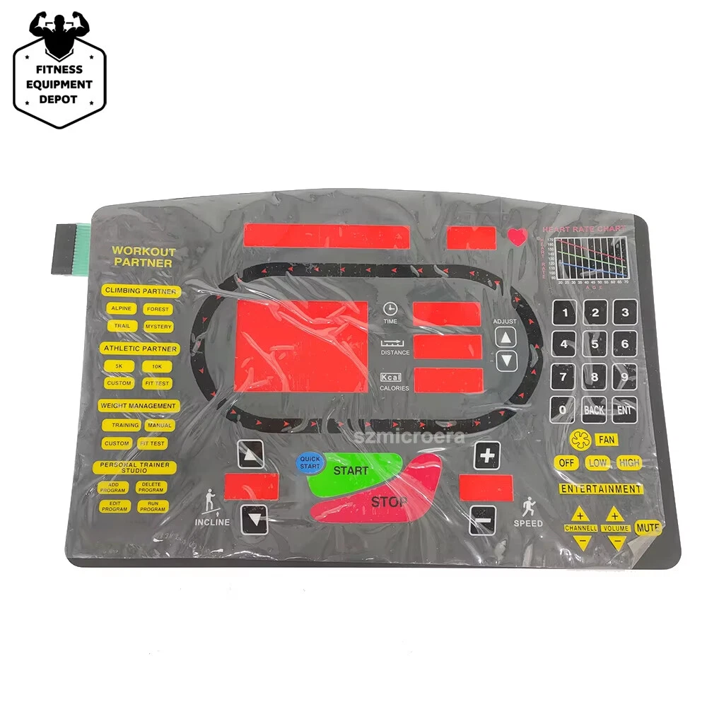 Cintura Tapis Roulant Star Trac Cintura Per Tapis Roulant Star Trac