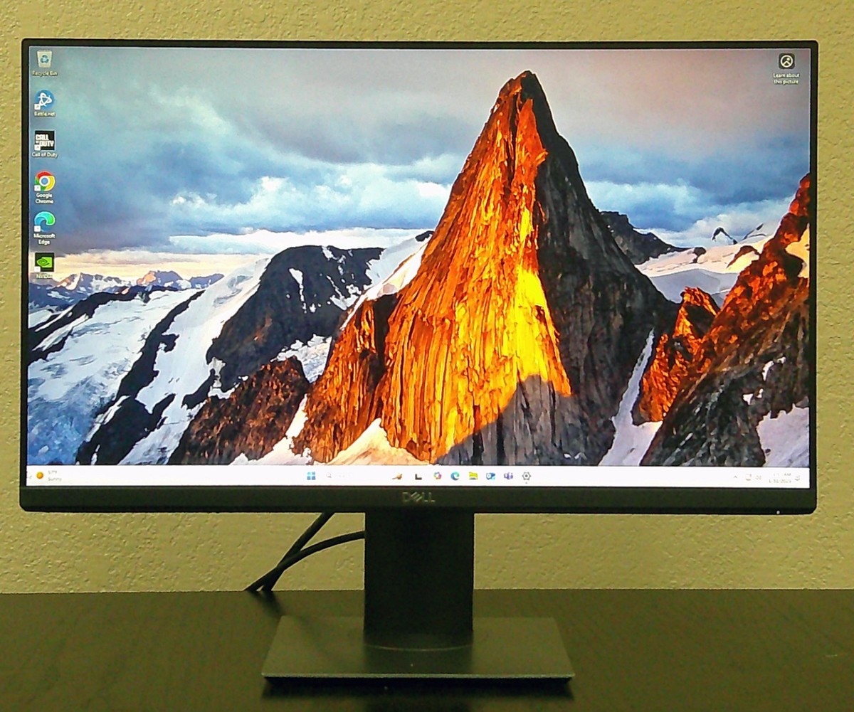 Dell P2419H 23.8