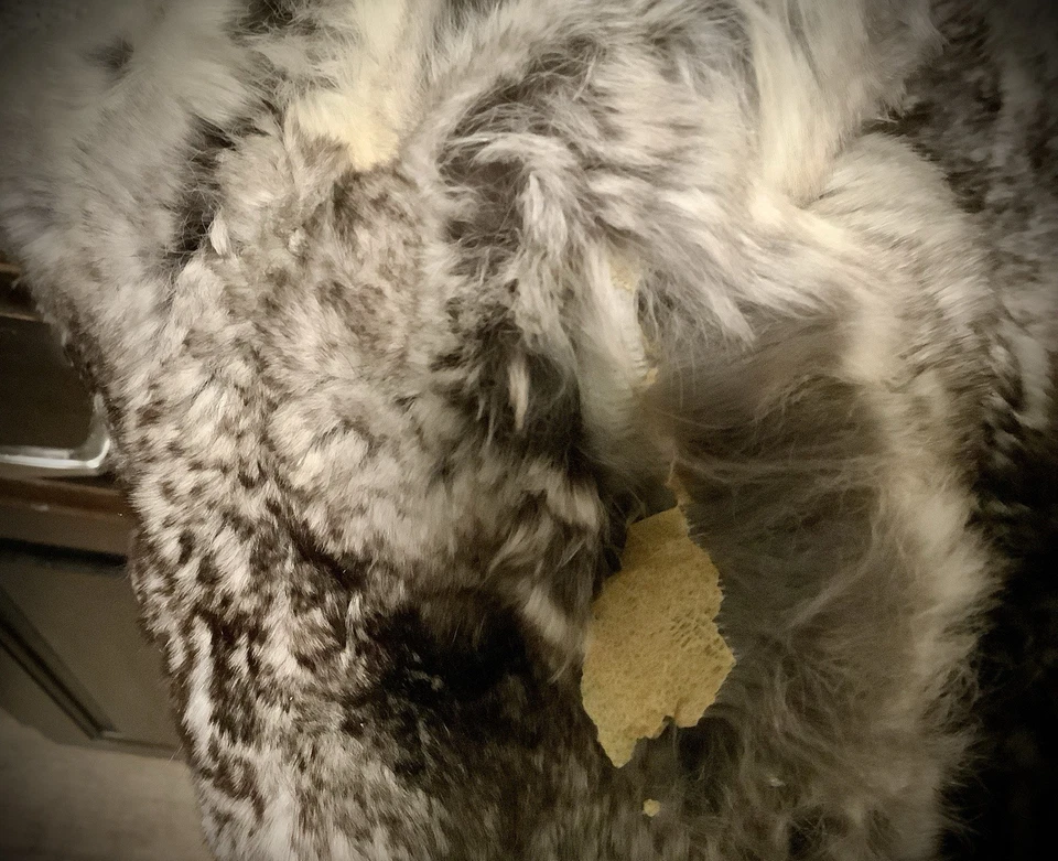 Estola de piel CORTADORA DE CHINCHILLA — 100 % genuina — LEER POR FAVOR Foto 4 de 4