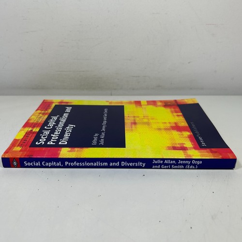 Social Capital, Professionalism and Diversity by Julie Allan Paperback 2009 - 第 3/12 張圖片