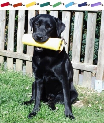 Firedog Standard Dummy 250 g - verschiedene Farben