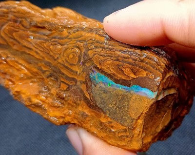 1410CT Yowah Nut BOULDER OPAL Australia Natural Vivid Purple Blue Wood Pattern