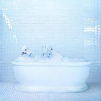 Frankie Cosmos Vessel (CD) Album with DVD (Artbook)
