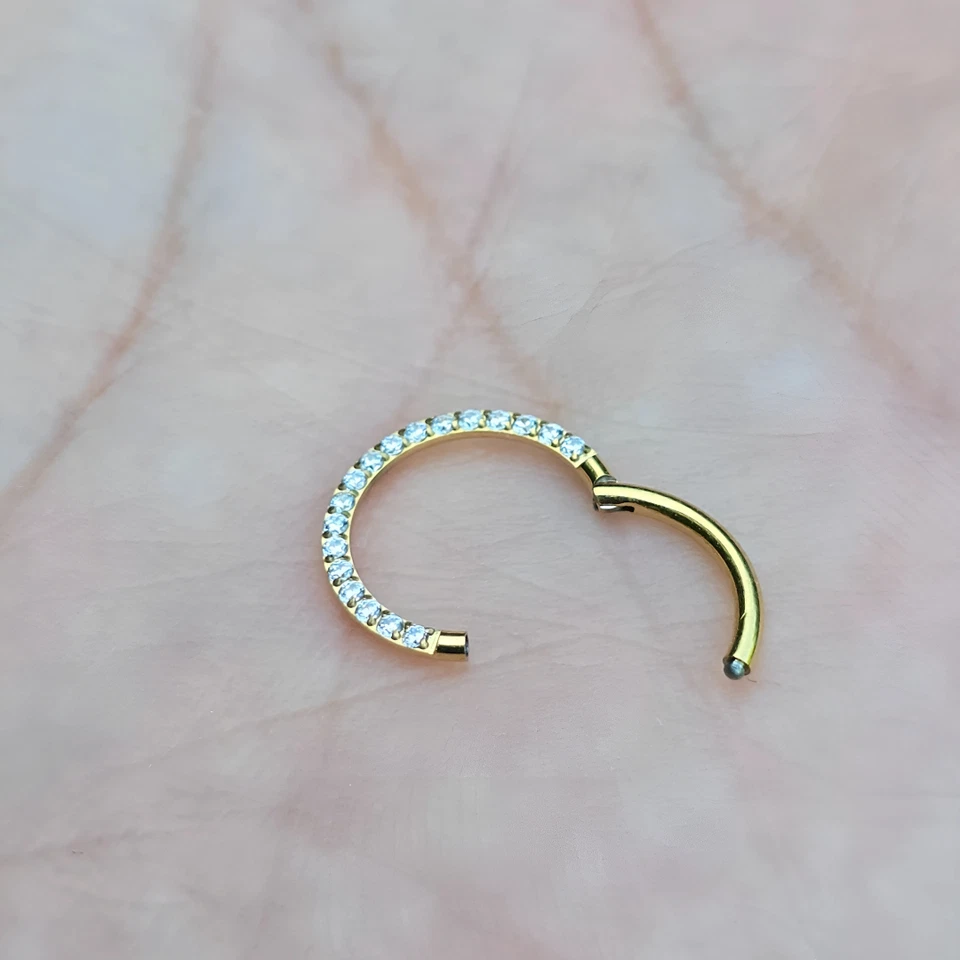 Piercing Titan Segment Ring Nasenpiercing Septum Clicker Ohrpiercing Nasenring - Bild 4 von 4