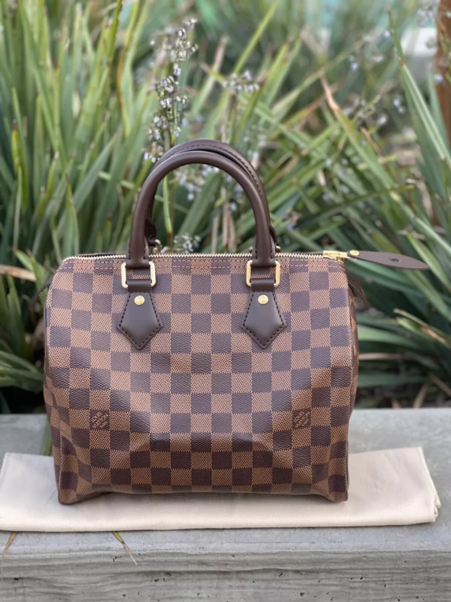 Louis-Vuitton speedy 25 Handbag Damier Ebene