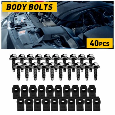 40x Body Bolts U-nut Clips For Ford Truck 5/16-18 x 1-3/16'' - 1/2'' hex Black EE