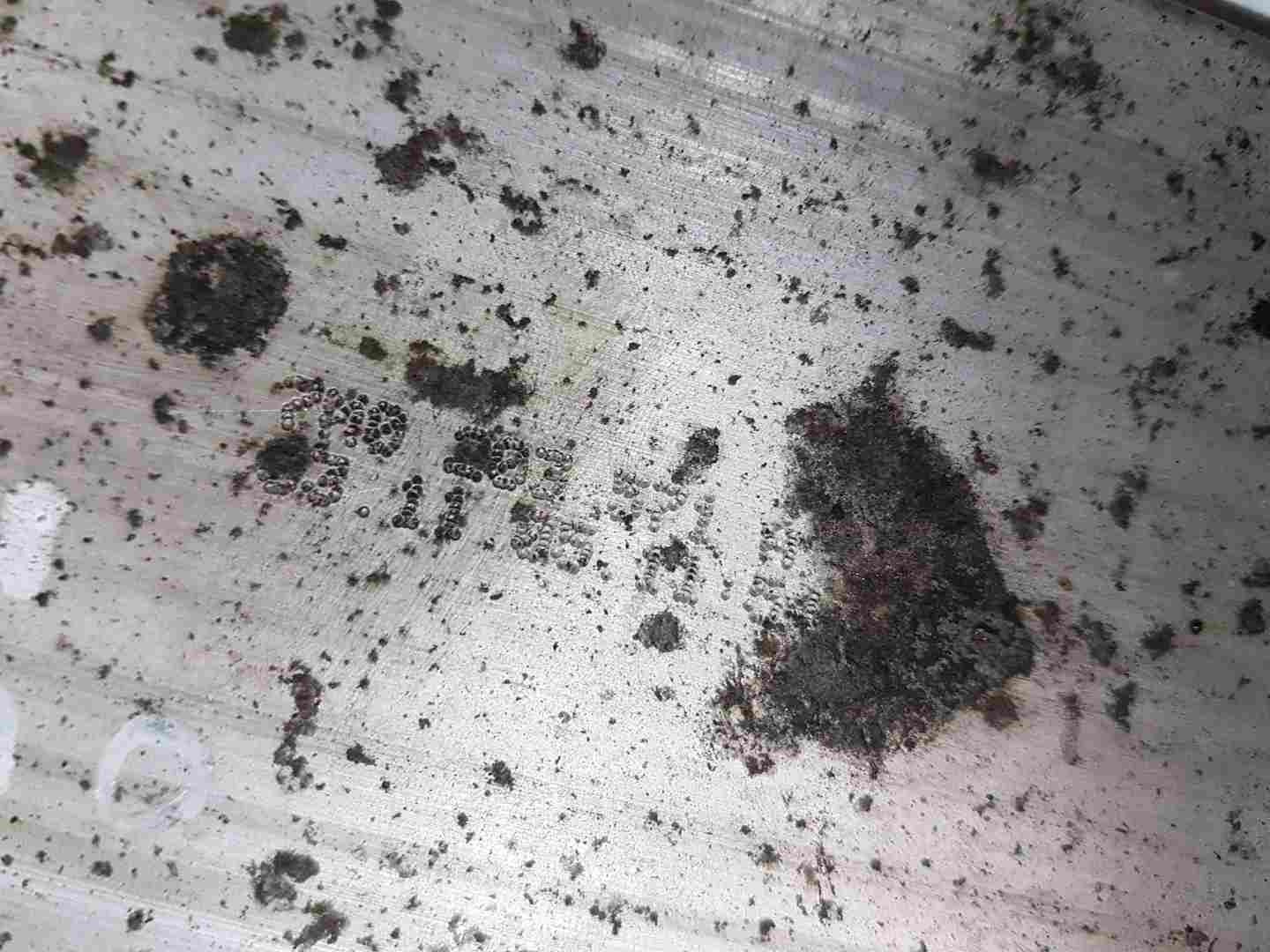 Picture 6 of 10