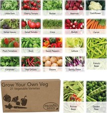 Grow Your Own Veg Seeds Kit 21 Varieties Vegetable Garden Starter Set Gift