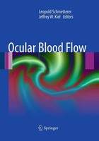 Leopold Schmetterer (U. A.) | Ocular Blood Flow | Taschenbuch | Englisch (2016)