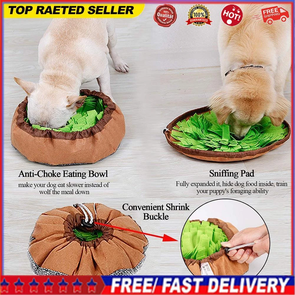 Treat blanket 2025 for dogs