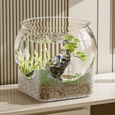 Round Fish Bowl Transparent Fish Tank  Desktop Clear Aquarium Fish Breeding Box