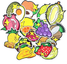 15 Pcs Fruit Patches Iron on Clothing Patches for Kids Clothing Jackets Jeans Ba