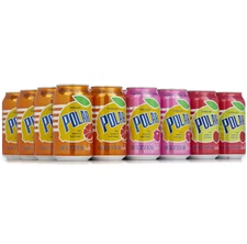 Polar Seltzer'ade Variety Pack 24 x 12 oz.