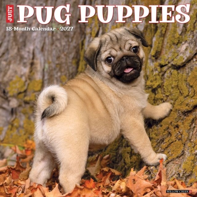 Pug Puppies 2027 Wall - Image 3