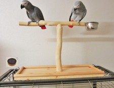 Tischfreisitz für Käfig/Voliere, Papageienfreisitz, Papageienspielzeug