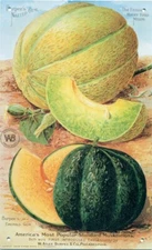 AD-VINTAGE STYLE METAL TIN ART REPRODUCTION HANGING SIGN-BURPEE'S SEEDS-MELONS