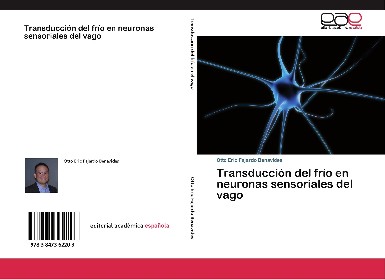 Thumbnail - Otto Eric Fajardo Benavides | Transducción Del Frío En Neuronas