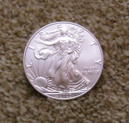 2020 American Silver Eagle Uncirculated 1oz .999 Fine Silver
