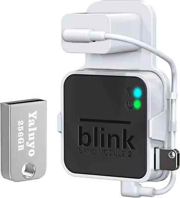Blink Sync Module 2 Wall Mount & 256GB USB Flash Drive for Local Video Storage