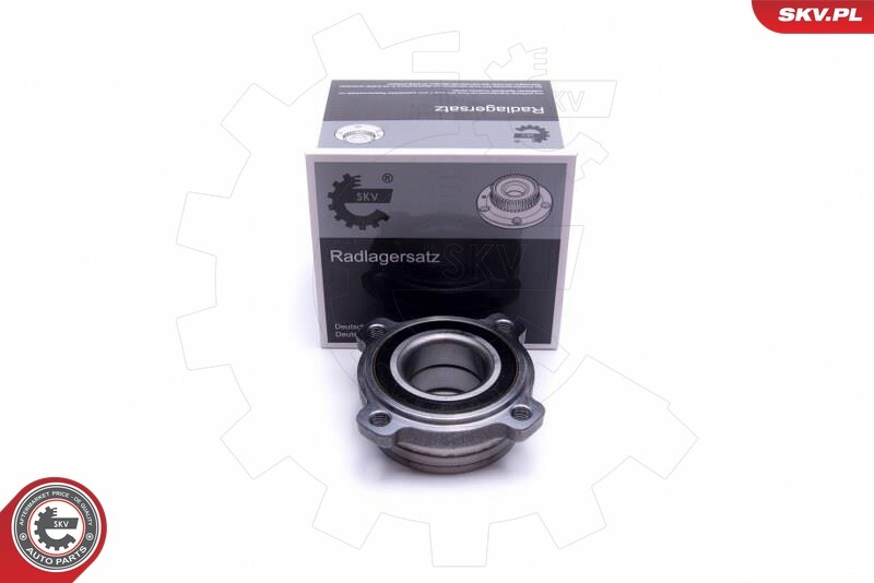 Rear ESEN SKV 29SKV441 Wheel Bearing Kit for BMW