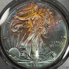 2013 PCGS MS66 American Silver Eagle - Beautiful Rainbow Toning!