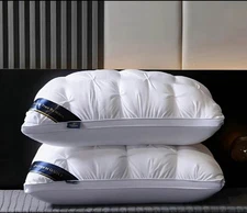 2 Luxury Hilton Hotel Pillows for $35